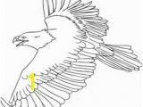 Bald Eagle Coloring Page 51 Best Eagle Coloring Pages Images On Pinterest