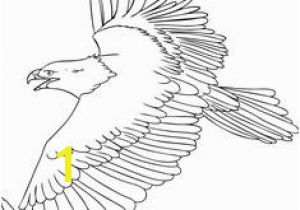 Bald Eagle Coloring Page 51 Best Eagle Coloring Pages Images On Pinterest