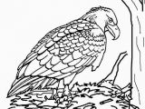 Bald Eagle Coloring Page Bald Eagle Coloring Page Best 23 Bald Eagle Coloring Page