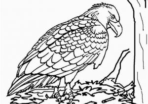 Bald Eagle Coloring Page Bald Eagle Coloring Page Best 23 Bald Eagle Coloring Page