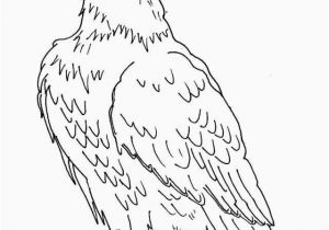 Bald Eagle Coloring Page Bald Eagle Coloring Page Elegant American Eagle Coloring Pages 18
