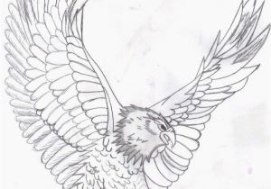 Bald Eagle Coloring Page Bald Eagle Coloring Page Elegant Unique Coloring Pages Lovely Cool