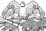 Bald Eagle Coloring Page Bald Eagle Coloring Page Unique Coloring Pages Lovely Cool Printable