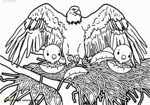Bald Eagle Coloring Page Bald Eagle Coloring Page Unique Coloring Pages Lovely Cool Printable