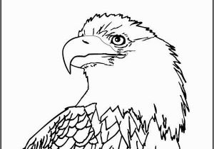 Bald Eagle Coloring Page Coloring Pages Bald Eagles 25 Eagle Coloring Page Kids Coloring