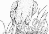Bald Eagle Coloring Page Coloring Pages Bald Eagles Coloring Pages Bald Eagles Bald Eagle