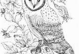 Barn Coloring Book Pages Owl Colouring Pages