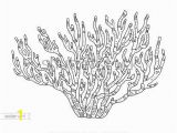 Barrier Reef Coloring Pages Coral isolated Coral Reef Vector Illustration Zentangle