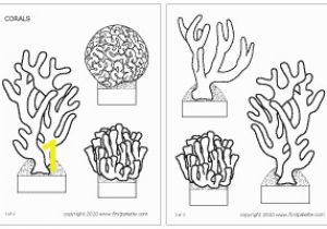 Barrier Reef Coloring Pages Corals Template