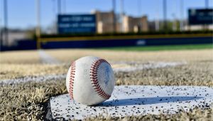 Baseball Field Wall Mural Baseball Stadium Frank Eck Baseball Stadium Vinyl Wall