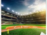 Baseball Stadium Wall Mural Baseball Wall Murals S Wall and Door Tinfishclematis