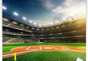 Baseball Stadium Wall Mural Baseball Wall Murals S Wall and Door Tinfishclematis