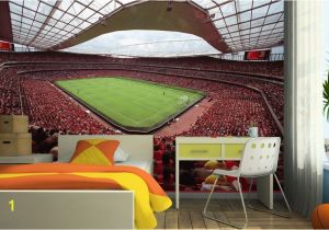 Baseball Stadium Wallpaper Murals Emirates Stadium Arsenal Wall Mural In 2019