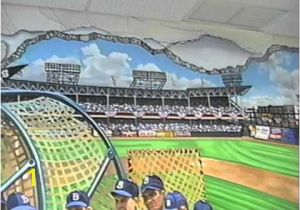 Baseball Stadium Wallpaper Murals Hand Painted Wall Mural Ebbets Baseball Field by Muralist Bonnie