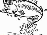 Bass Fish Coloring Pages Striped Bass Dying In Record Numbers at Jordan Lake Clip