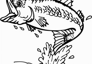 Bass Fish Coloring Pages Striped Bass Dying In Record Numbers at Jordan Lake Clip