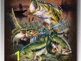 Bass Fishing Wall Murals Die 108 Besten Bilder Von Angeln