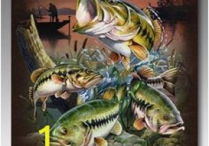 Bass Fishing Wall Murals Die 108 Besten Bilder Von Angeln