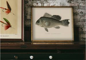 Bass Fishing Wall Murals Pin On Products