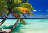 Beach Scene Wall Mural Tropical Beach Wall Mural