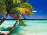 Beach Scene Wall Mural Tropical Beach Wall Mural