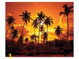 Beach Sunset Wall Mural Jp London Md4052ps Ustrip Beach Fire Sunset Palm Beach Peel