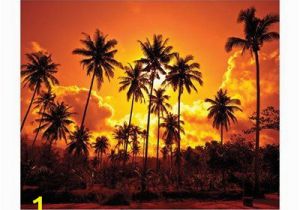 Beach Sunset Wall Mural Jp London Md4052ps Ustrip Beach Fire Sunset Palm Beach Peel