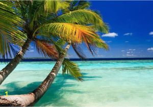 Beach Wall Mural Decals Tropical Beach Wall Mural