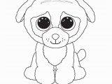 Beanie Boo Coloring Pages Only Ty Beanie Boo Coloring Pages and Print for Free