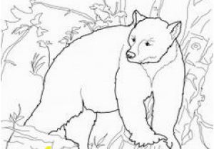 Bear In Cave Coloring Page 137 Best the Book Of the Night World Images On Pinterest