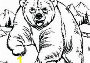 Bear In Cave Coloring Page 2155 Best Images