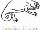 Bearded Dragon Coloring Pages 60 Best Animal Line Drawings Images