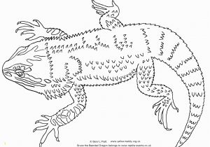 Bearded Dragon Coloring Pages Reptiles Coloring Pages Coloring Pages Coloring Pages