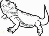 Bearded Dragon Coloring Pages toothless Coloring Pages High Quality Coloring Pages Free Easy