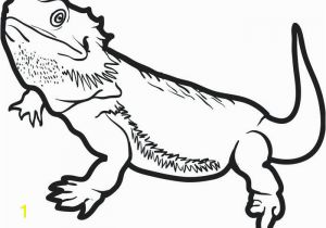 Bearded Dragon Coloring Pages toothless Coloring Pages High Quality Coloring Pages Free Easy