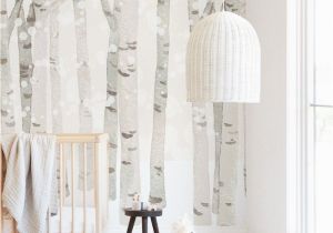 Beautiful Birch Tree Wall Mural Birch Woods In Winter" Removable Wall Mural Art by Four Wet