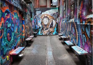 Best Type Of Paint for Wall Murals Best Street Art In Melbourne where to Find the Best Murals