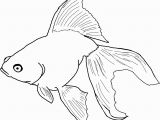 Betta Fish Coloring Pages Betta Fish Coloring Pages New Fish Coloring Pages for Adults New