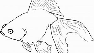 Betta Fish Coloring Pages Betta Fish Coloring Pages New Fish Coloring Pages for Adults New