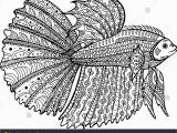 Betta Fish Coloring Pages Betta Fish Hand Drawn Coloring Page Stock Illustration