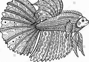 Betta Fish Coloring Pages Betta Fish Hand Drawn Coloring Page Stock Illustration