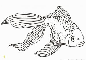 Betta Fish Coloring Pages Tropical Fish Coloring Pages