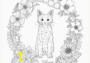 Big Cat Coloring Pages 425 Best top Coloring Page for Adults Images In 2020