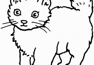 Big Cat Coloring Pages Coloring Cat