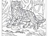 Big Cat Coloring Pages Dragana Jerinic Ex Milojkovic Djerinicexmiloj On Pinterest