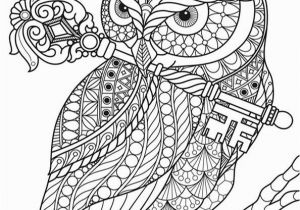 Big Cat Coloring Pages Pin Auf Coloring