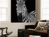 Big Head Wall Murals Zebra Ii Prints by Debra Van Swearingen at Allposters