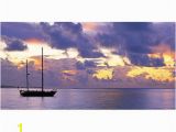 Biggies Wall Mural Biggies Wall Mural 60 X 120 Sunset Sail Fice Depot