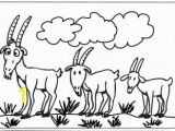 Billy Goats Gruff Coloring Page Three Billy Goats Gruff Coloring Pages