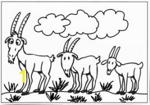 Billy Goats Gruff Coloring Page Three Billy Goats Gruff Coloring Pages